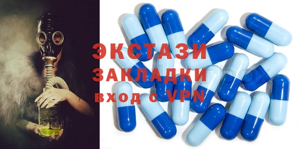индика Вязьма